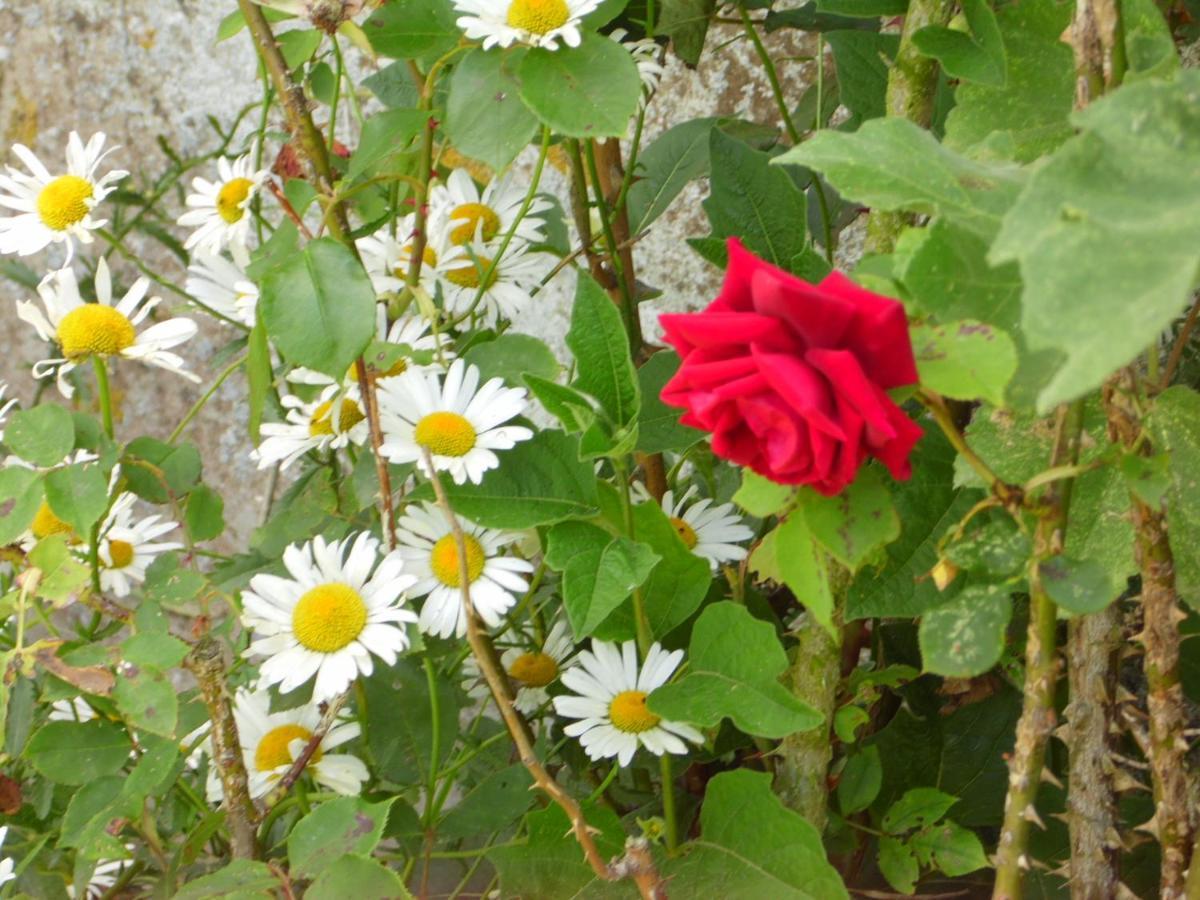 Gite A La Ferme En Pleine Nature 外观 照片